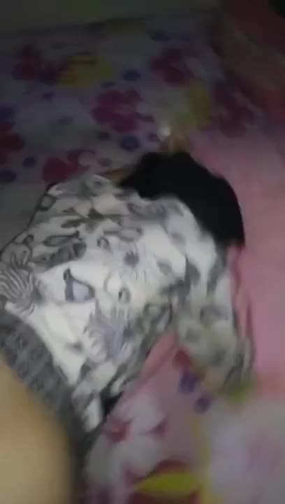 Bokep Indo Pacaran Sama Cewek Jilbab Bisa Ngewe
